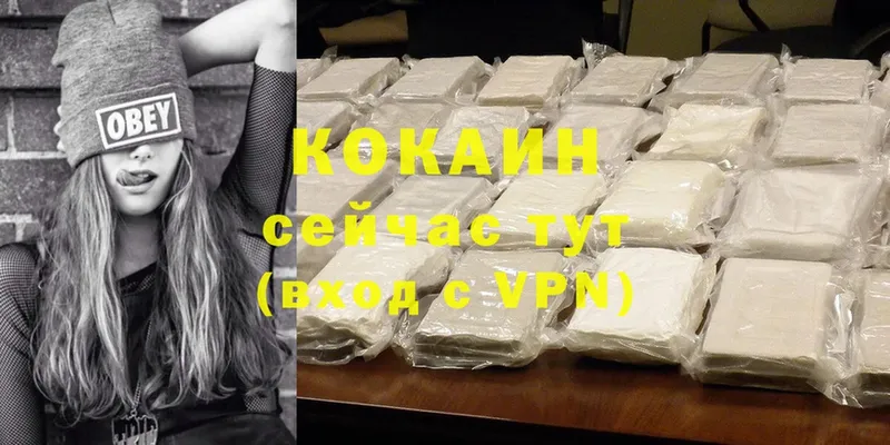 Cocaine FishScale  Бирюсинск 